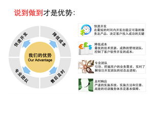 北京軟件定制開(kāi)發(fā) 解鎖企業(yè)專屬數(shù)字化引擎